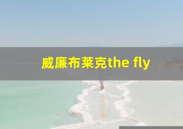 威廉布莱克the fly